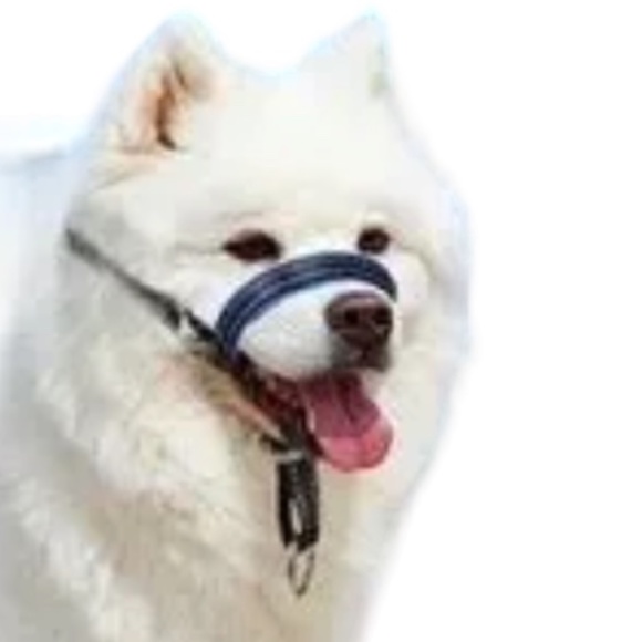 LEPARK Dog Head Halter with Reflective Safety Strap Stop Dog's Pulling Like New - Picture 1 of 4